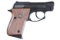 Taurus PT-22 Pistol .22 lr