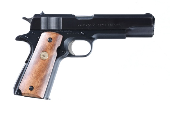 Colt Government Pistol .45 ACP