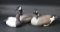 3 Ducks Unlimited Geese/Ducks (local pickup)