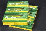 6 bxs Remington .300 sav ammo