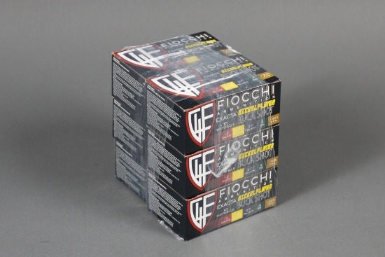 6 bxs Fiocchi 12ga Ammo