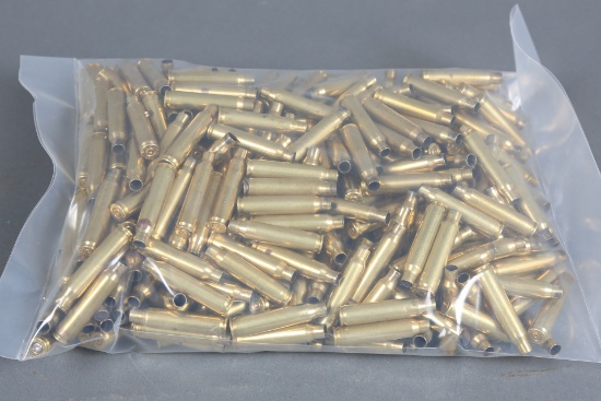 .223 Rem Brass