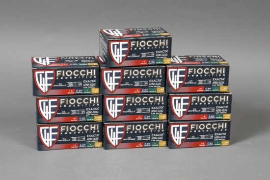 10 bxs 12ga Ammo