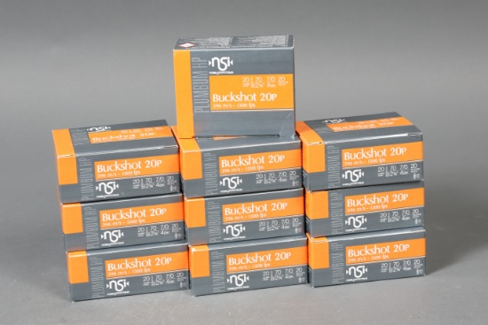 10 bxs 20ga Ammo