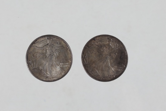2 Walking Liberty Silver Dollar Coins