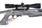 Ruger 10 22 Semi Rifle .22 lr