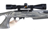 Ruger 10 22 Semi Rifle .22 lr