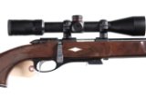 Remington Nylon 11 Bolt Rifle .22 sllr