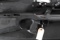 Walther G22 Semi Rifle .22 lr