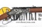 Henry Golden Boy H004SE2 Lever Rifle .22 sllr