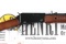 Henry H003T Slide Rifle .22 sllr