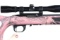 Ruger 10 22 Semi Rifle .22 lr
