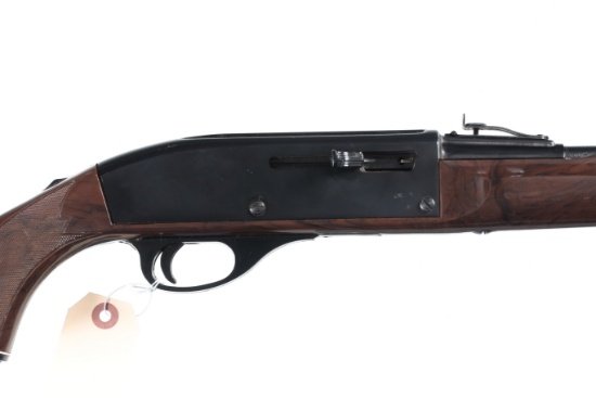 Remington Nylon 66 Semi Rifle .22 lr