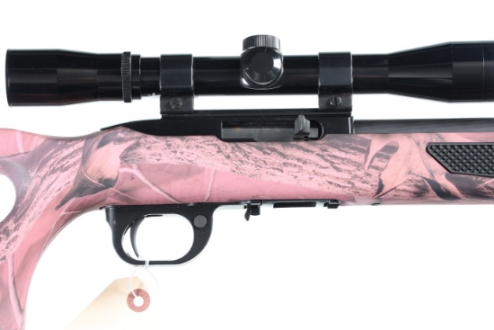 Ruger 10 22 Semi Rifle .22 lr