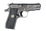 Colt Government Pistol .380 ACP
