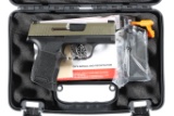 Sig Sauer P365 Pistol 9mm