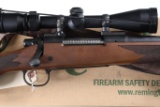 Remington 700 CDL Classic Deluxe Bolt Rifle .25-06 rem