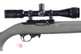 Ruger 10 22 Semi Rifle .22 lr