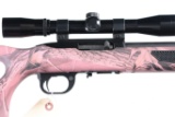 Ruger 10 22 Semi Rifle .22 lr
