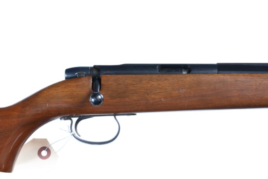 Remington 582 Bolt Rifle .22 sllr