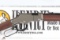 Henry Golden Boy Silver Youth Lever Rifle .22 sllr