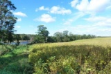 40 Acres in Palmer Township MN