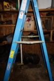 Fiberglass Werner 6' Ladder