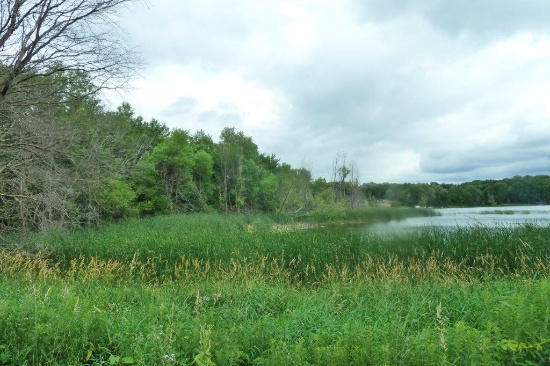34+ Acres on Indian Lake, Maple Lake MN - Ends 8/9