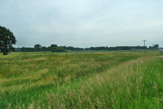 44.71 Acres of Hunting Land in Maple Lake, MN