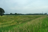 44.71 Acres of Hunting Land in Maple Lake