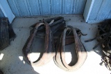 Lot Of 4 Collars