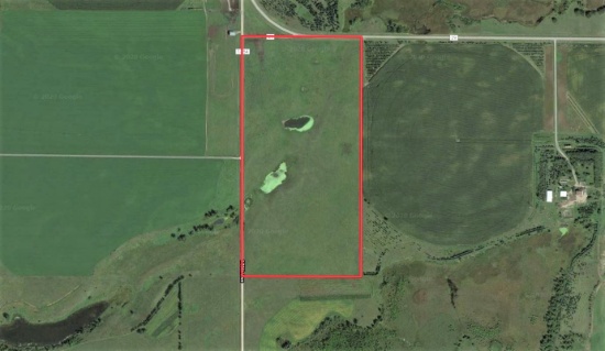 80 acres - Cty Rd 29, Glenwood MN 56334 - Ends 9/3