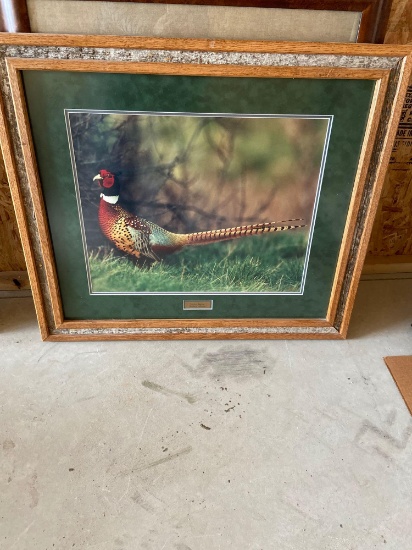 rooster pheasant print by Richard Mousel