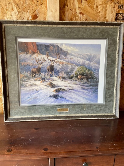 Mule deer framed print Red Rock Survivor by Blaine Dabb
