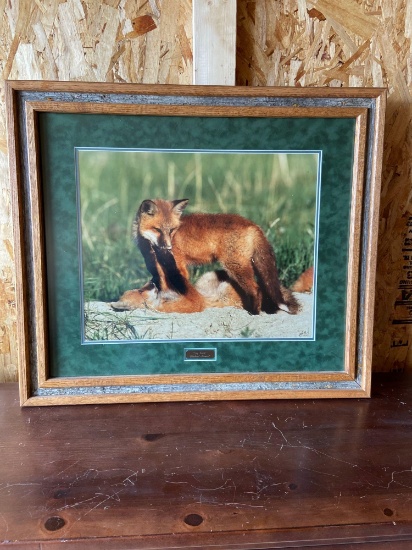 Say Uncle signed and numbered fox print by Mousel