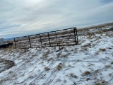 24' Cattle panel with swinging gate