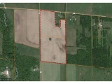 73 acres in Ogilive, MN