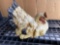Laying Chicken Hen Statue
