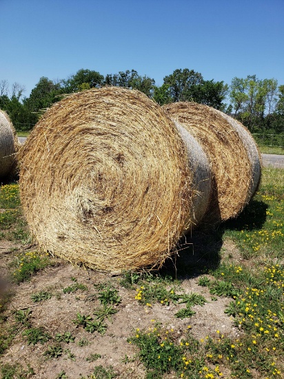 Hay Round Bales