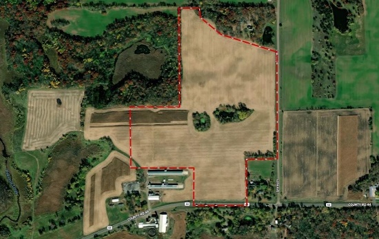75 Acres in South Haven, MN