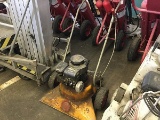 BRIGGS & STRATTON YARD VACUUM