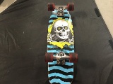 Powell peralta blue skateboard