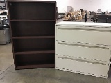 Metal file cabinet I wooden bookshelf