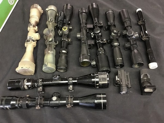 10 riflescopes,1 tactical light,1 eyesight