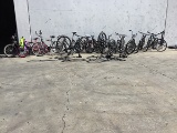 Fifteen bikes