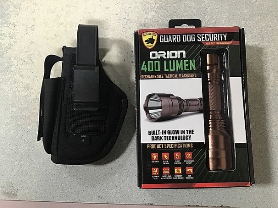 Back handgun holster, flashlight