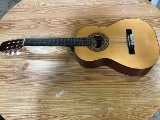 Sunlite guitar