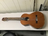 Musical instrument Acoustic Guitar