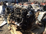 INTERNATIONAL 6.4L 8 CYLINDER DIESEL ENGINE