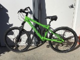One bike (Green IBEX)